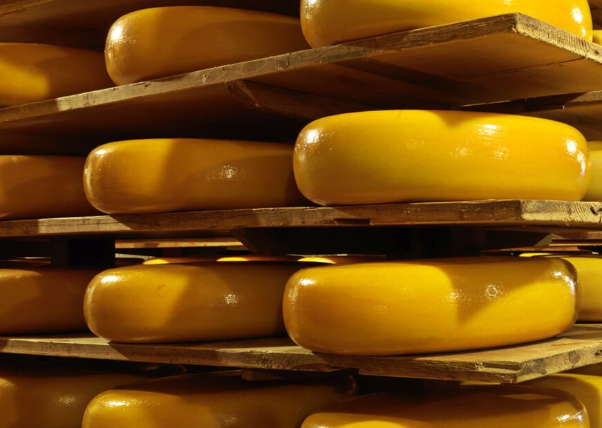 procesproductie_rijpen